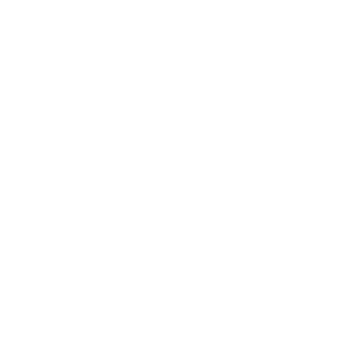 AI Strategy & Consulting