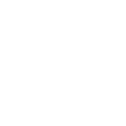 BI Maintenance & Support