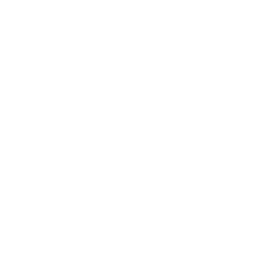 BI Strategy & Consulting