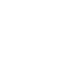 Cybersecurity Risks