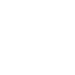 Dashboard & Data Visualization