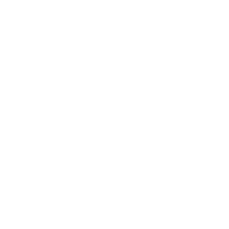 Decentralized Application (App) Development