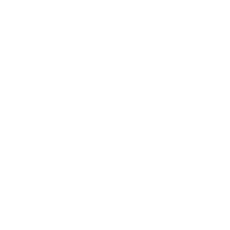 Enterprise Software Solutions