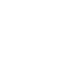 Fraud Prevention & Risk Management