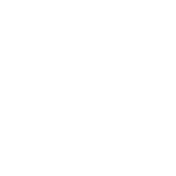 IT Consulting & Technical Leadership