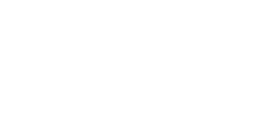 LN- Logo-F-WHITE 6