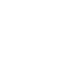 Ongoing Software Maintenance & Support