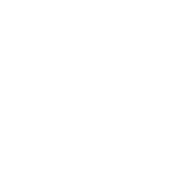 Private & Consortium Blockchain Development