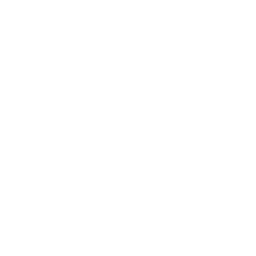 Route Optimization & Efficiency