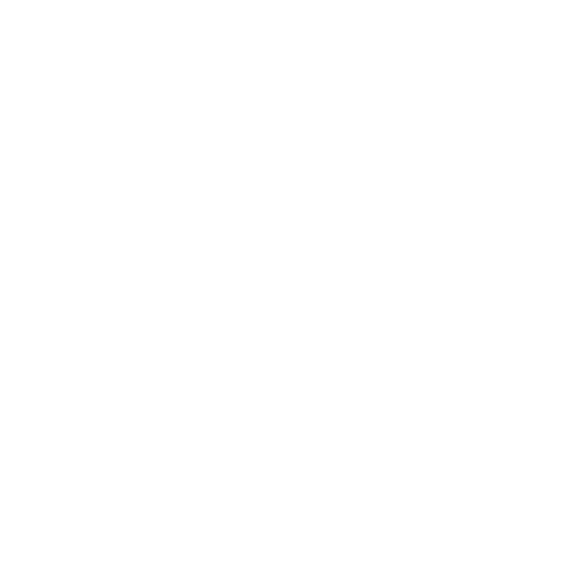 Safety and Risk Management