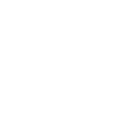 Security, Testing & Optimization
