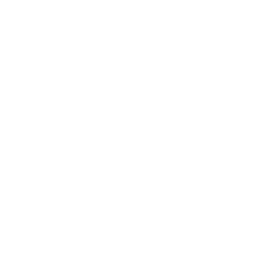 Smart Contract & Core Development
