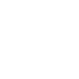 Software Modernization