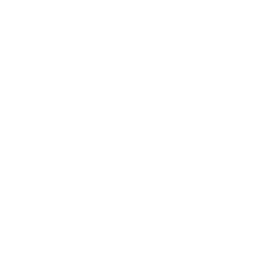 Talent Discovery & Requirement Analysis