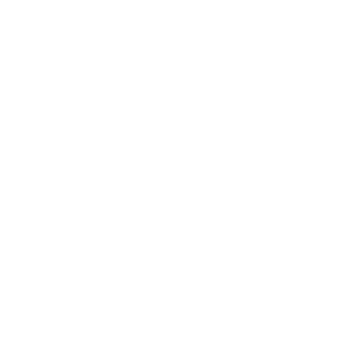 Web Strategy & Consulting